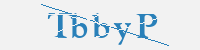 보안문자